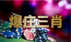 独平码四中四三大哥玩家体验服下载V