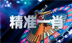 2022挑码帮手最新版本